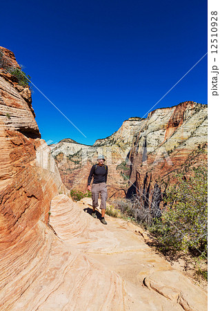 Hike in Zion 12510928