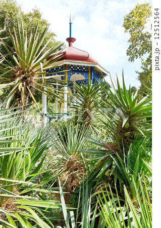 plants and pavilion in Nikitsky Botanical Garden plants and pavilion in Nikitsky Botanical Garden 12512564