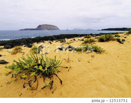 Graciosa Island 12513751