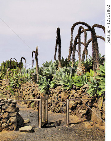 Agricola El Patio Museum, Tiagua, Lanzarote 12513802