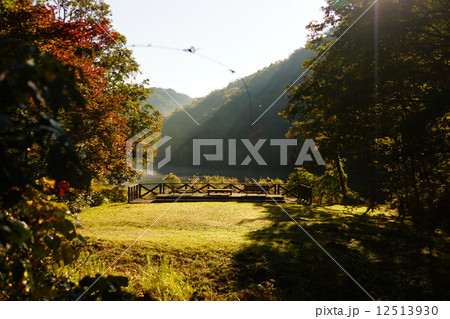 ベンチ ベンチ 12513930