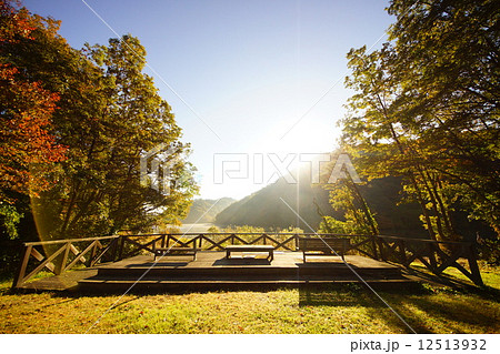 ベンチ ベンチ 12513932