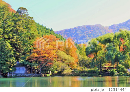 金鱗湖 金鱗湖 12514444