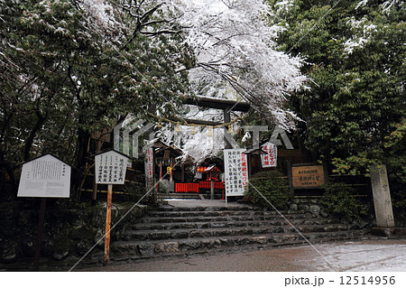 雪景色の野宮神社 12514956
