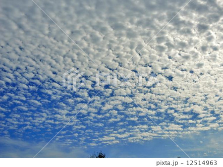 うろこ雲 12514963