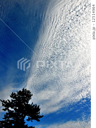 大空 大空 12514964