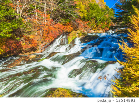 竜頭の滝 12514993