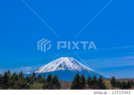 青空のもとにみる緑の森と富士山頂 青空のもとにみる緑の森と富士山頂 12515042
