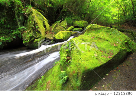 岳切渓谷 12515890