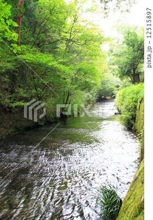 岳切渓谷 12515897