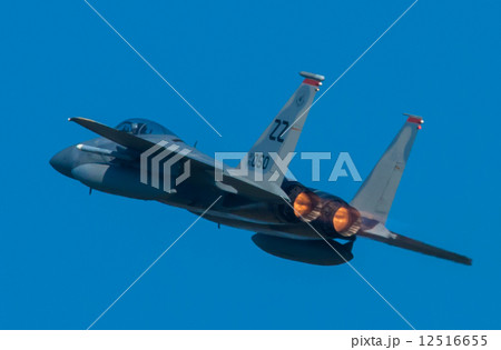 テイルレター”ZZ” テイルレター”ZZ” 12516655