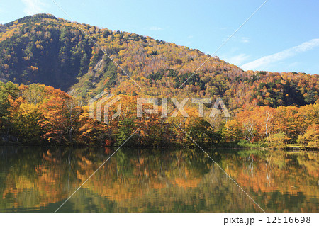 志賀高原の紅葉 志賀高原の紅葉 12516698