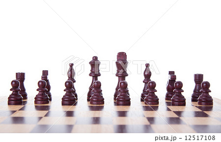 chess pieces chess pieces 12517108