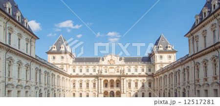 Castello del Valentino 12517281