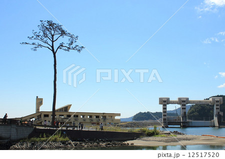 奇跡の一本松 12517520