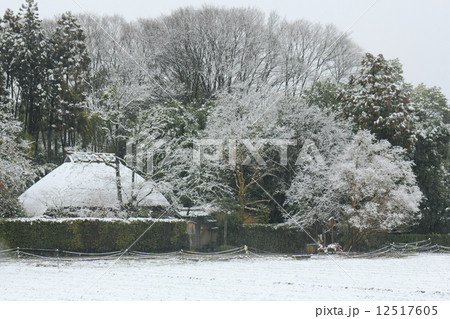 雪景色の落柿舎 12517605