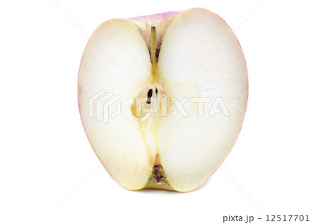 Haft of apple 12517701