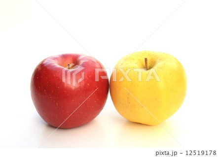 リンゴ 12519178