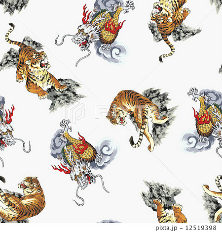 龍と虎のパターンのイラスト素材
