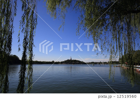 北京 北海公園 北京 北海公園 12519560