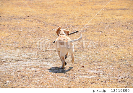 Have Fun Stock Photo