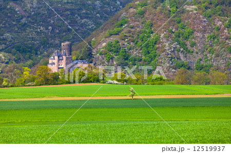 View of the historic Burg Katz castle on the Rhine 12519937
