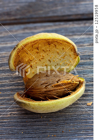 Macro shot of a half-open almond fruit 12519958