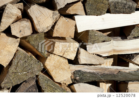 Stacked Firewood Stacked Firewood 12520078