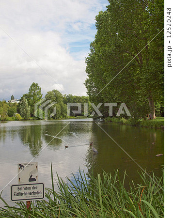 Gardens in Stuttgart, Germany 12520248
