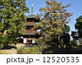 法起寺 12520535