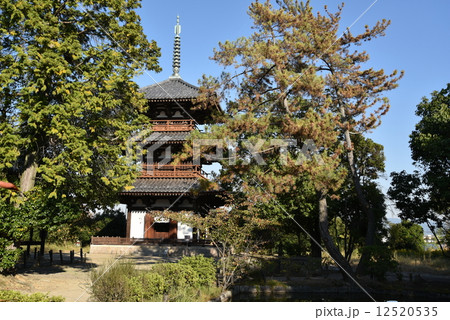 法起寺 法起寺 12520535