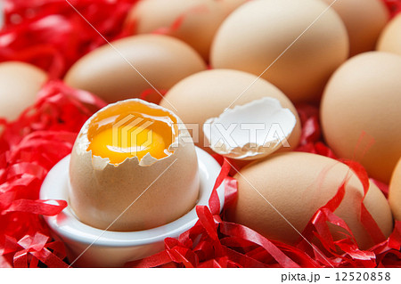 egg 12520858