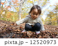 落ち葉 12520973