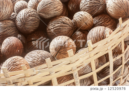 Cerbera odollam in baskets  12520976