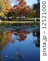 池にうつる秋 12521000