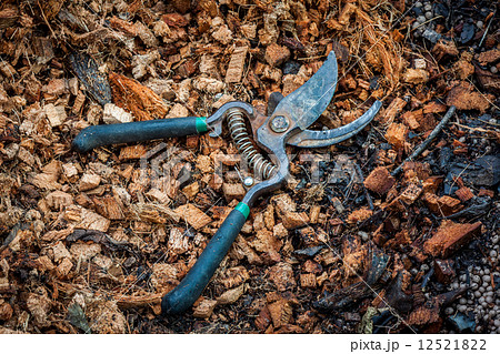 Pruning shears on coconut coir fiber Pruning shears on coconut coir fiber 12521822