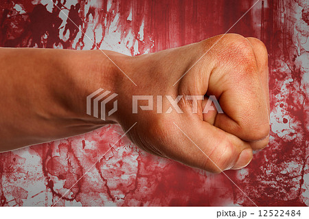 Fist power martial arts emblem, symbol. Fist power martial arts emblem, symbol. 12522484