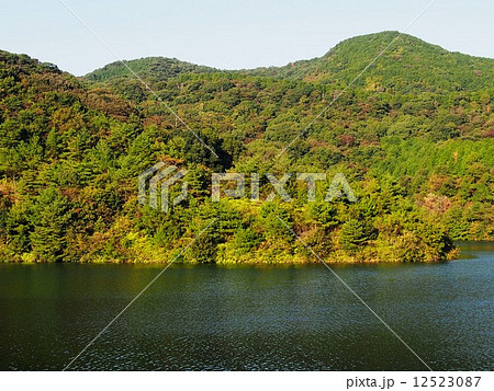 ダム湖と紅葉し始めた山 12523087