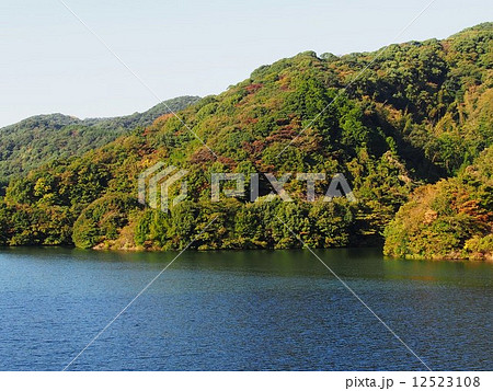 ダム湖と紅葉し始めた山 12523108