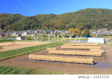 秋の田園風景 秋の田園風景 12523118