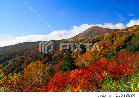 紅葉の磐梯吾妻スカイライン・天狗の庭 12523934