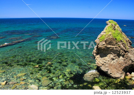 夏の笹川流れ 12523937