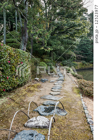 桂離宮　松琴亭　苔の石畳と土橋 12523977