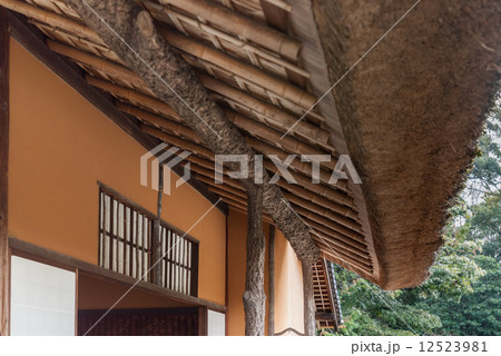 桂離宮　松琴亭 12523981