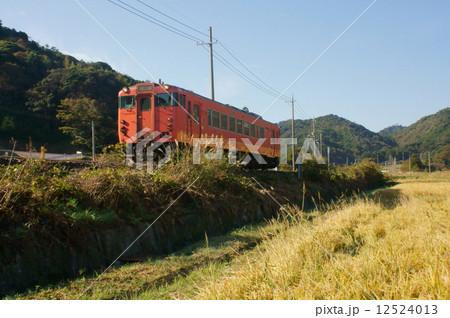 実りの秋を走る列車・山陰本線 実りの秋を走る列車・山陰本線 12524013