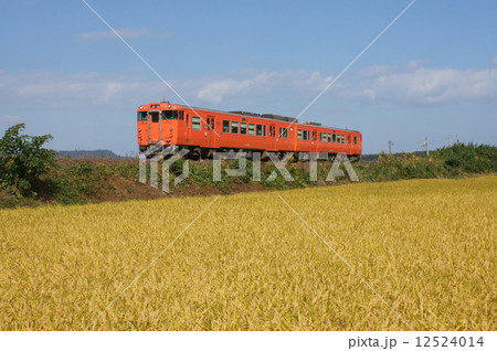 実りの秋を走る列車・山陰本線 実りの秋を走る列車・山陰本線 12524014