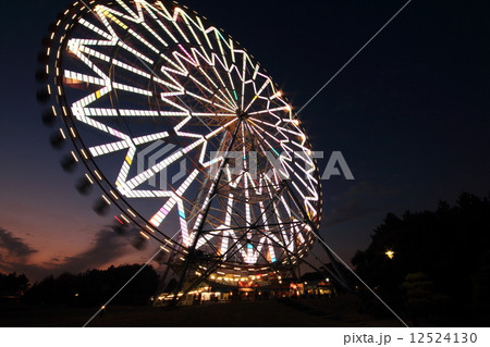 葛西臨海公園 葛西臨海公園 12524130