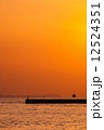 夕焼け 12524351