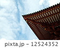 屋根 12524352