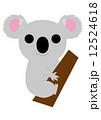 木のぼりコアラ 12524618